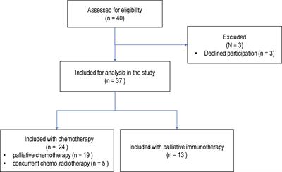 Innate immune function during antineoplastic treatment is associated with 12-months survival in non-small cell lung cancer